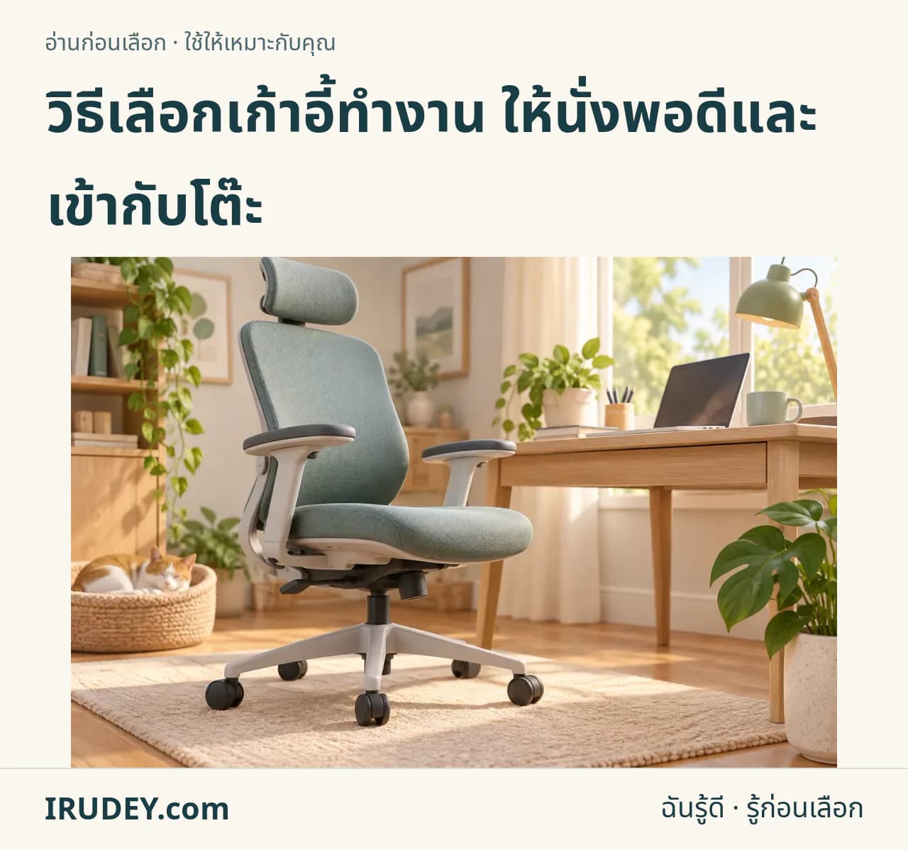 ภาพวาดประกอบ: เก้าอี้ทำงาน