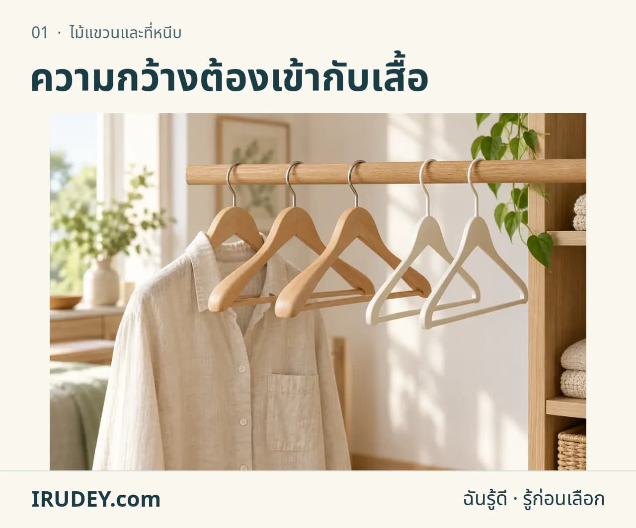 ภาพวาดประกอบ: ไม้แขวนและที่หนีบ