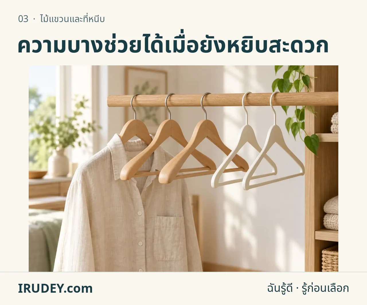 ภาพวาดประกอบ: ไม้แขวนและที่หนีบ