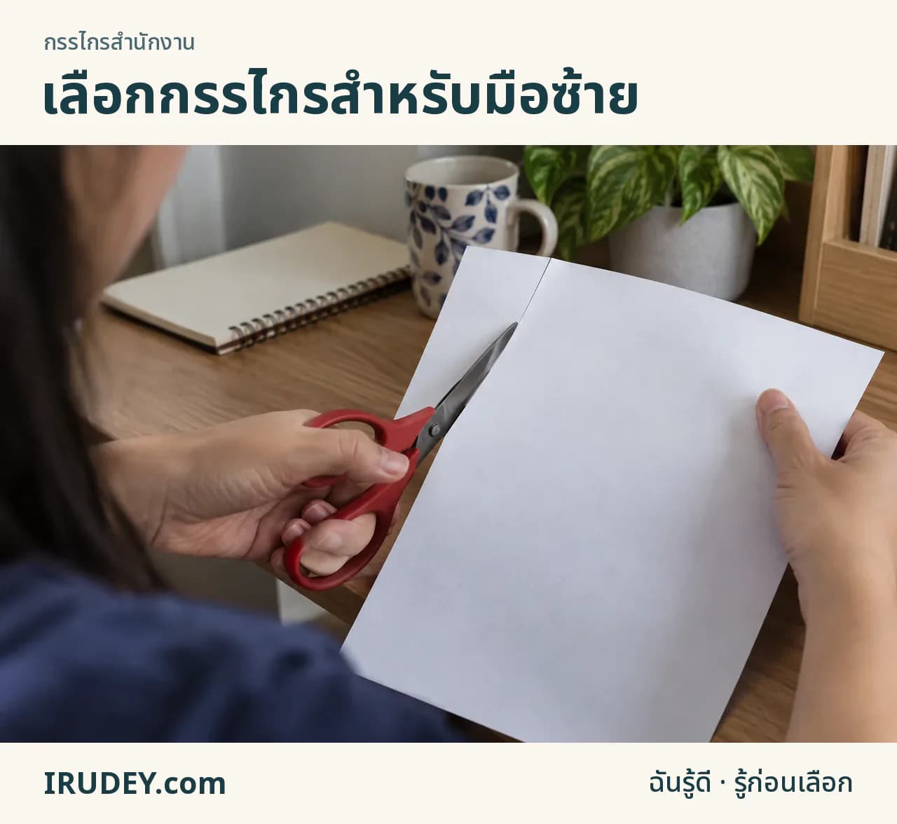 การตัดกระดาษด้วยกรรไกรสำหรับมือซ้ายและเห็นแนวตัดชัด