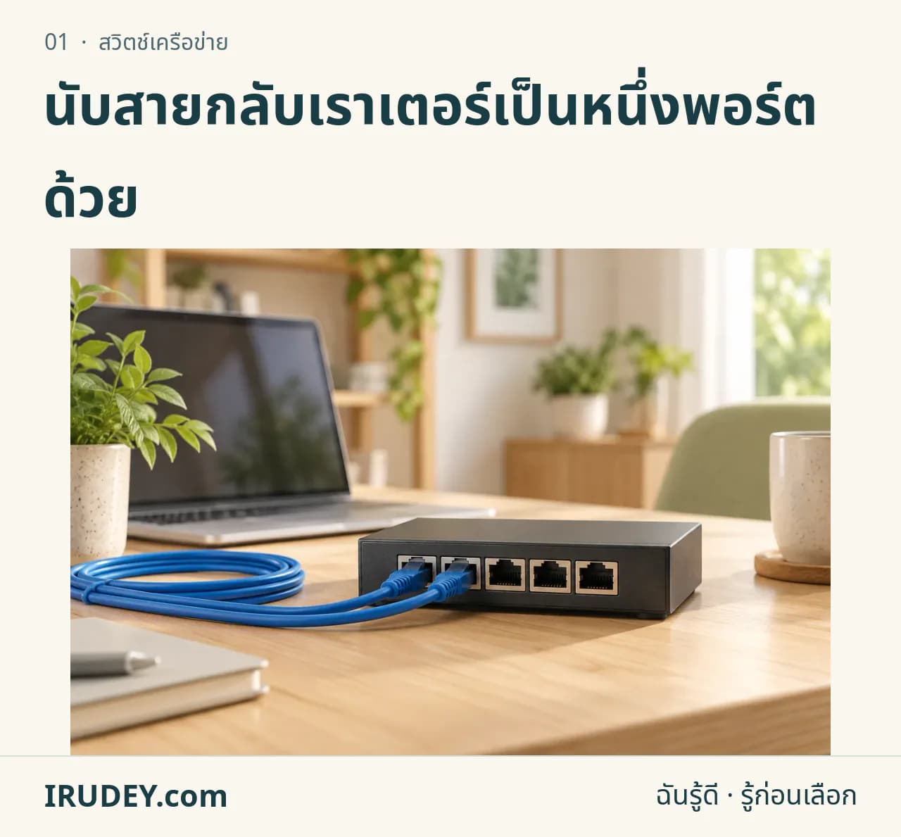 ภาพวาดประกอบ: สวิตช์เครือข่าย