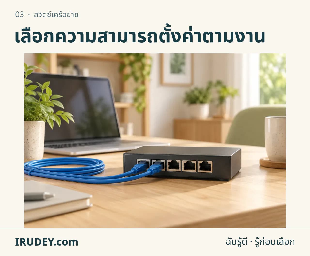 ภาพวาดประกอบ: สวิตช์เครือข่าย