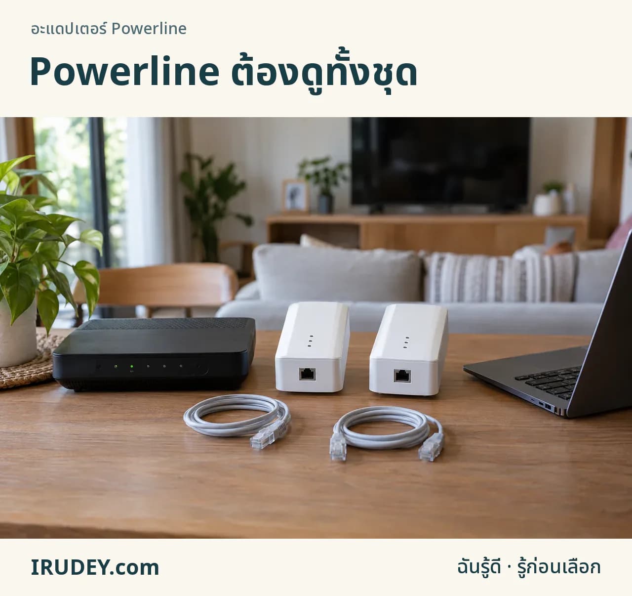 อะแดปเตอร์ Powerline สองตัวและสาย LAN สำหรับต้นทางกับปลายทาง
