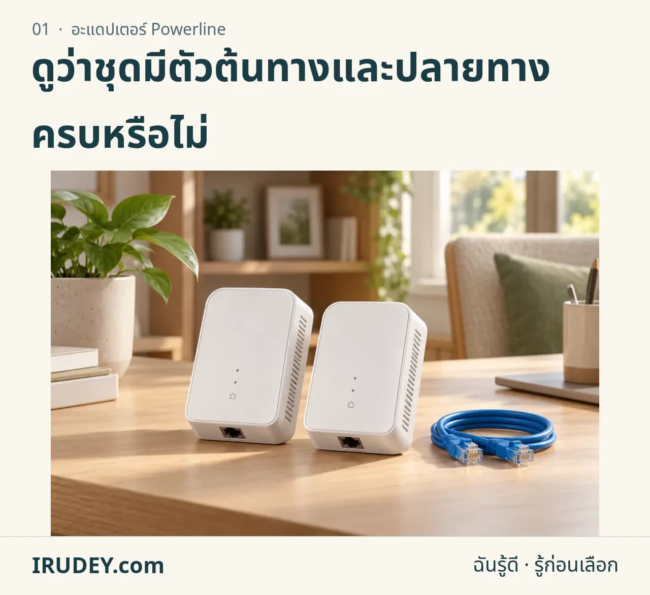 ภาพวาดประกอบ: อะแดปเตอร์ Powerline