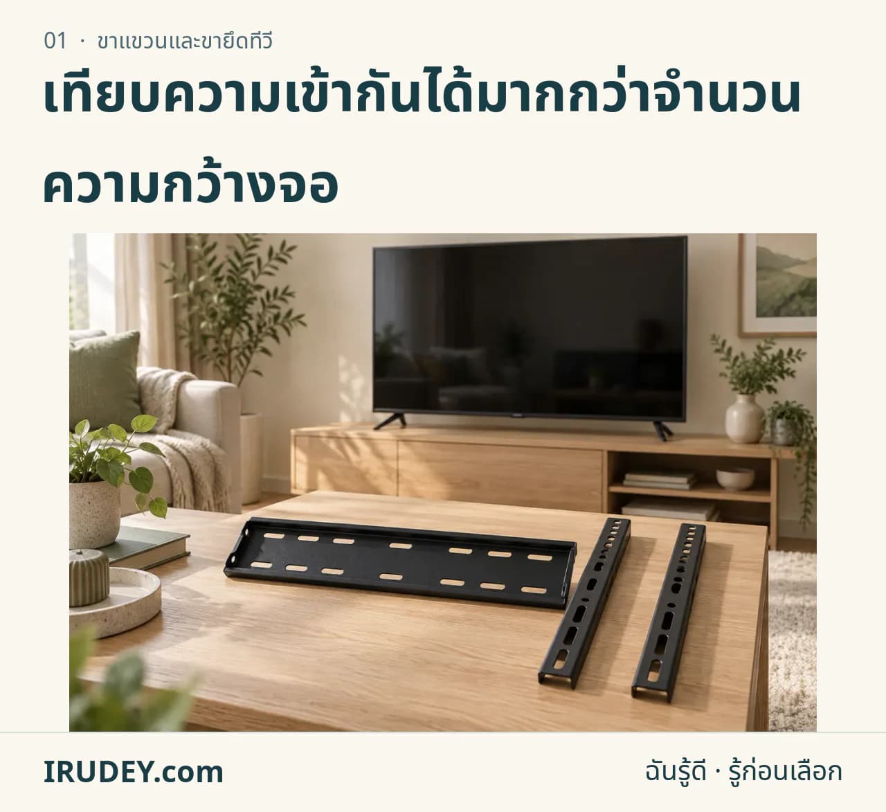 ภาพวาดประกอบ: ขาแขวนและขายึดทีวี
