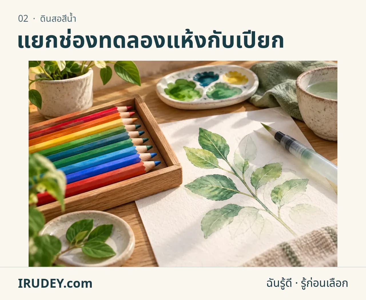 ภาพวาดประกอบ: ดินสอสีน้ำ