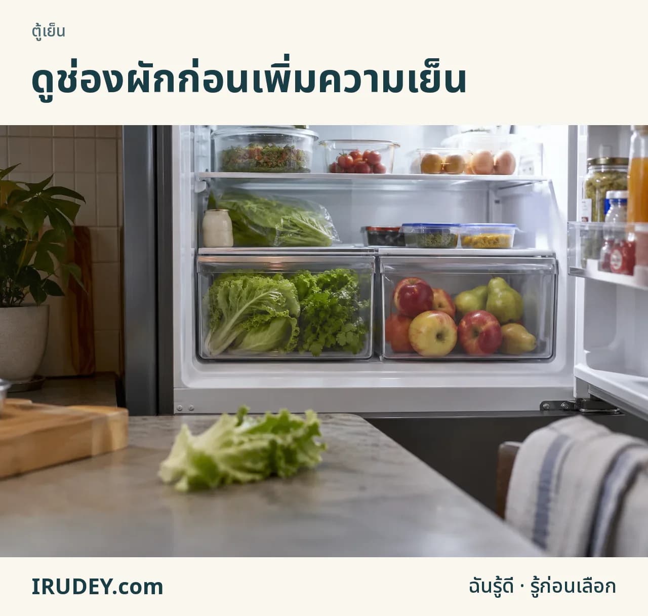 ช่องผักตู้เย็นแยกผักใบออกจากแอปเปิลและแพร์