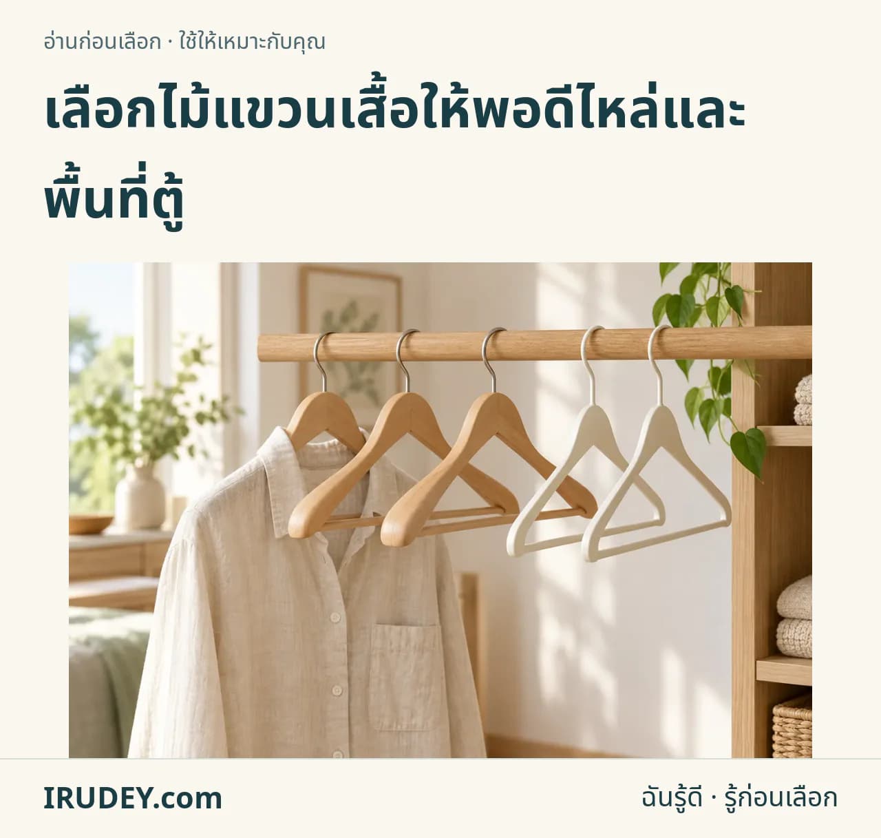 ภาพวาดประกอบ: ไม้แขวนและที่หนีบ